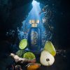 Mykonos Nautilus Extrait de Parfum 100ml Unisex Perfume - Image 5